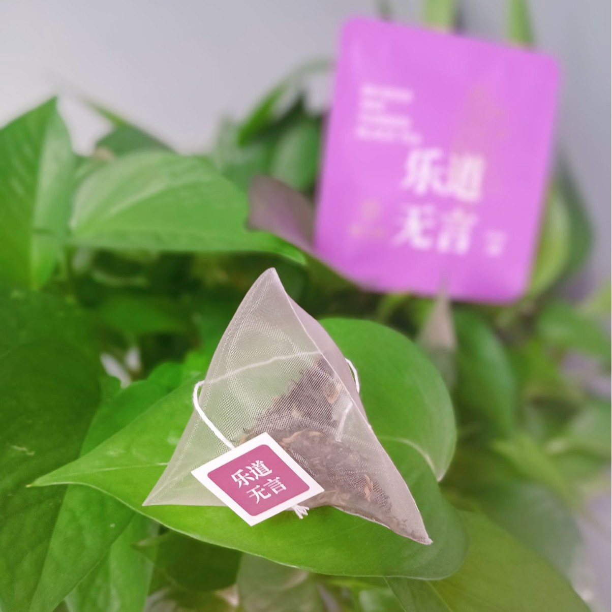 工厂加工定 制  OE M 贴 牌代加工pla玉米纤维无纺布三角养生茶包