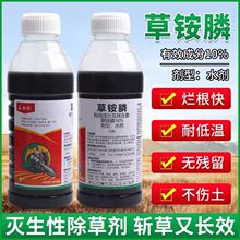 大瓶装马齿剑正品草铵膦除草剂果园茶园田园田埂芦苇润生丰除草剂