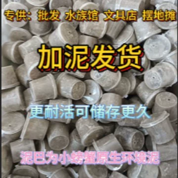 Краб чили, краб-боб, оптовая доставка грязевых коробок, специальный дропшиппинг в магазине канцелярских товаров для аквариумов.