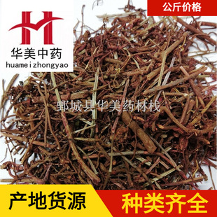 ���1000���A����ș�� �F؛���l�����t�������ă��a��ɽ��