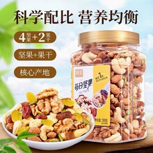 列夫每日坚果500g儿童孕妇装零食礼包尖果新老装年货