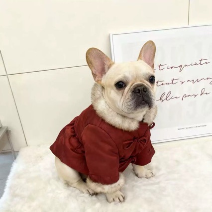 宠物冬季加绒加厚法斗恶霸保暖衣服狗狗泰迪比熊