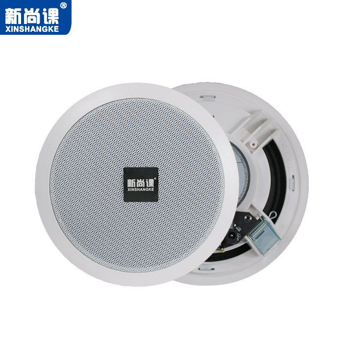 EXPRESSIÓN DEL EXPRESSIÓN, altavoces inalámbricos Bluetooth, altavoces de techo activos, música de fondo, supermercados, tiendas, sonido de techo