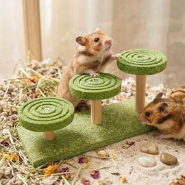 仓鼠生活用品;鸟类;猫猫玩具