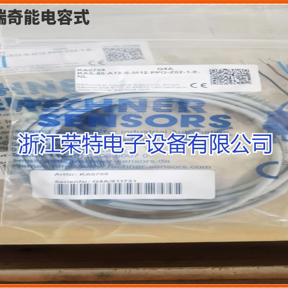 全新RECHNER电容式KS-250-M22/70-X-M22-PTFE/VAb-250C-X02/Y24-0