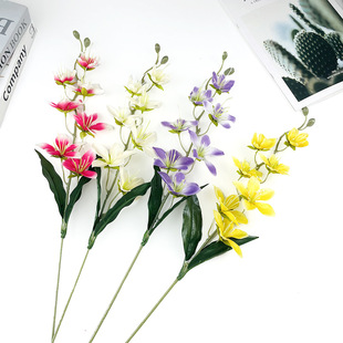 ��֦ޥ�m�ٻ� 7�^С���m ��Y�û�ˇ�����廨 �Ҿ����[�b�Ʒ����