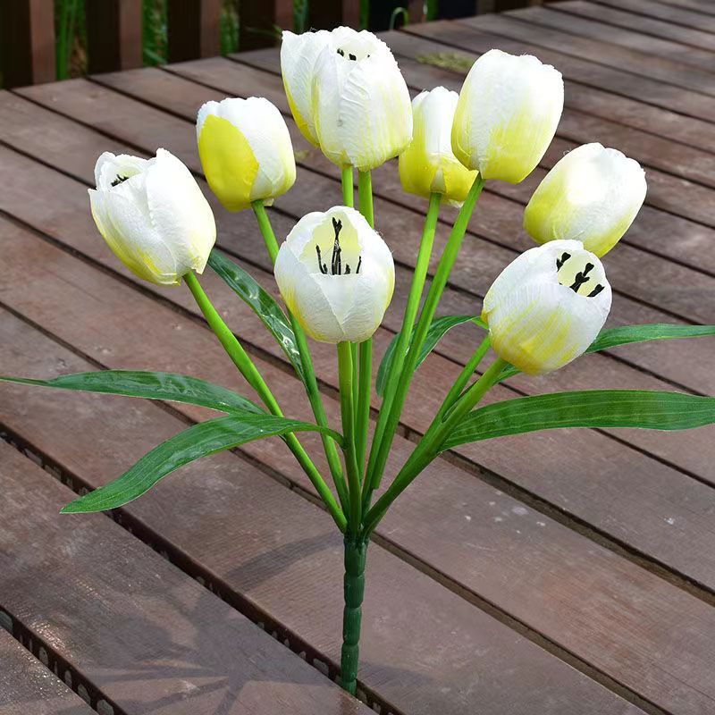 7头郁金香白色