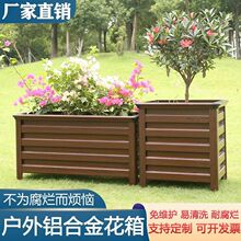 �����X�Ͻ���M���̨�Nֲ��ͥԺ���⻨�軨���������̼Ӻ���