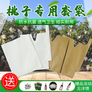 Fruit Bags, Fruit Fly Bags, Peach Bags, Fruit Protection Bags, Mango Navel Oranges, Saba Bags