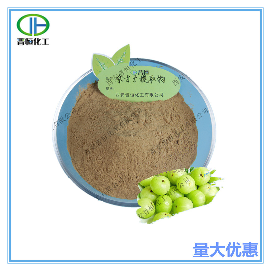 余甘子提取物比例提取水溶性余甘子粉原料1KG起订现货供应