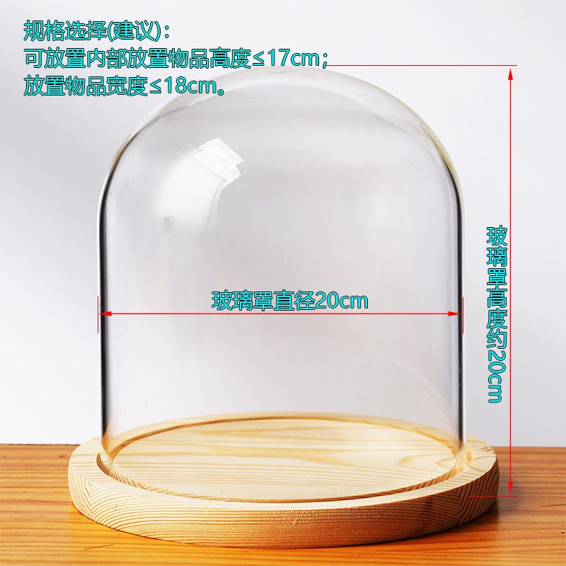 Cubierta cilíndrica de vidrio transparente sin lámpara de madera de estilo inmortal cubierta de polvo de flores hecha a mano decoración creativa de escritorio de bloques