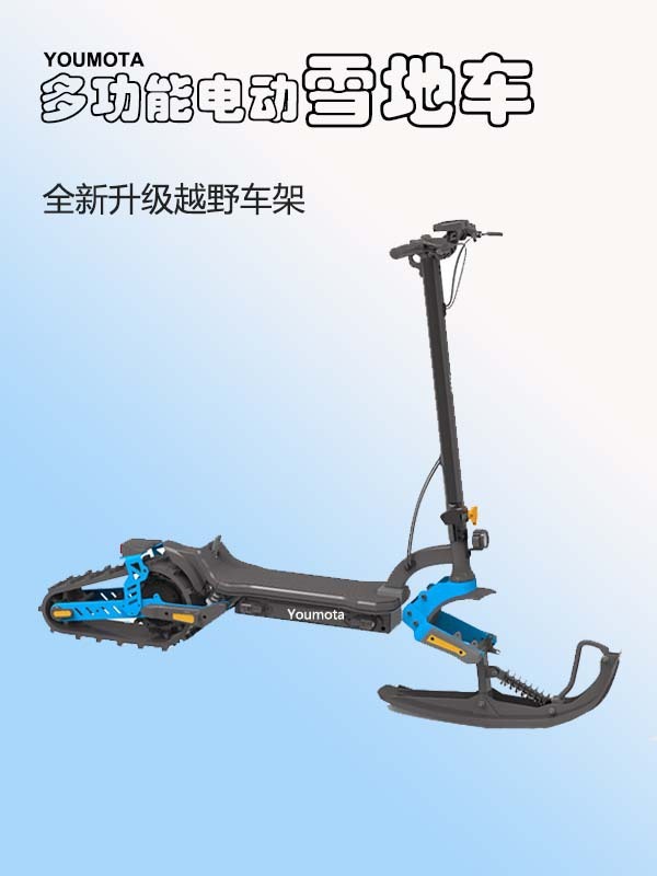 二輪スキーカート電動スクーター多機能超高出力 2000W60km 航続距離カスタマイズされた卸売|undefined