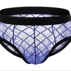 Men's mesh transparent sexy triangle underwear breathable transparent large U convex foreign trade triangle