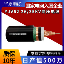 �߉���|YJV62 1 3о185/240/300/400/500/630ƽ���߉��~о���˾�