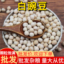 °㶹45bо㶹 ؑcС㶹㶹ɢb lѿ