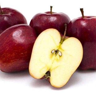 ���C��ţ�O������ˮ���O���������]���rˮ����ţ�O��һ�����l