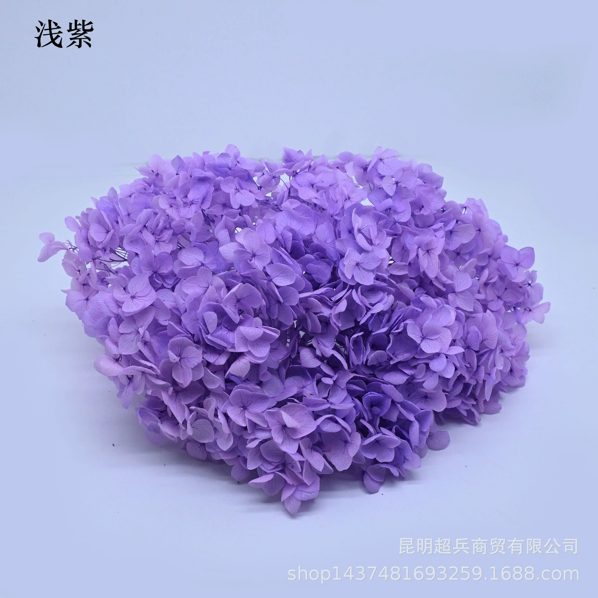 [Вечная Life Flower Hydrangea] Анна Градиентный цвет Лист Hydramid Книга цветов оптом DIY цветочная коробка материал для просмотра