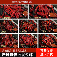 �ݽ������������������F���ӏ��^�G�lħ��ӡ������С�����콷����