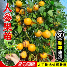 �����˲ι����������������Ѵ������ļ���̨�����Ϸ�����ˮ������