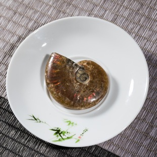 ��Ȼ�߲��ݻ�ʯ��ʯ���ݹ����ﻯʯ�˱�ԭʯ�Ʒ�ҾӔ[��