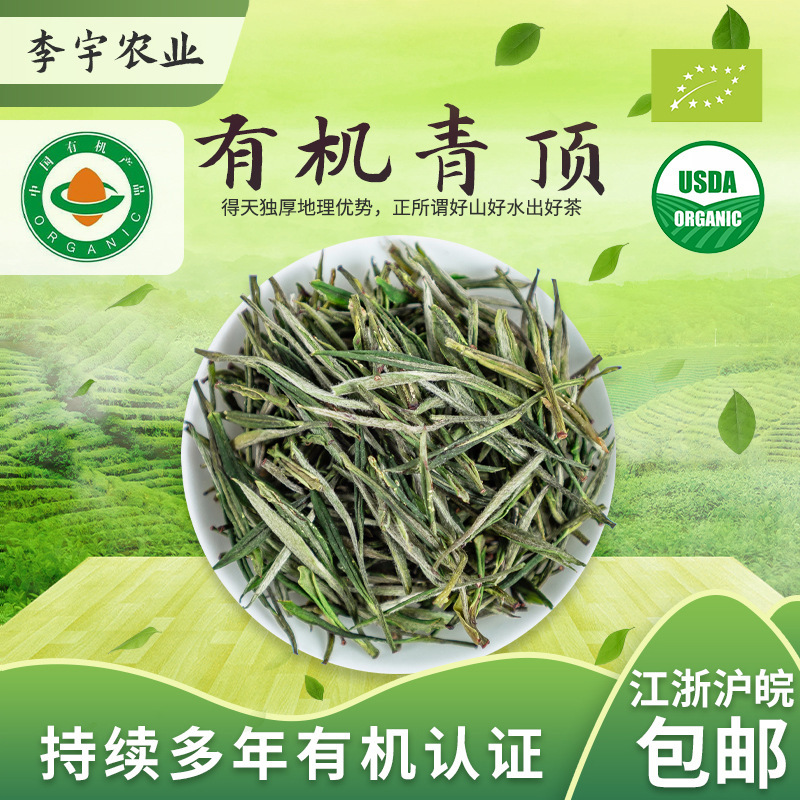 Organic Qingding 500g Jiukeng Variety Roasted Green Maojian Loose Leaf Green Tea for Export to Europe and the Us, Eu and Nop Organic Certification Organic Qingding 500g Jiukeng Variety Roasted Green Maojian Loose Leaf Green Tea for Export to Europe and the Us, Eu and Nop Organic Certification