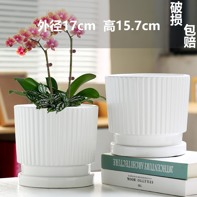 순백색 나무 실크 국수 두 개