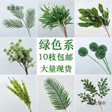 �Gɫ��ɭϵ�Gֲ�ٻ��~�ӻ�c�������~��ˇ�b��߼٘��~��̫��