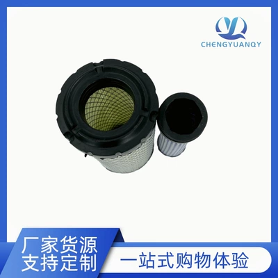 Air Filter Af25550 Air filter