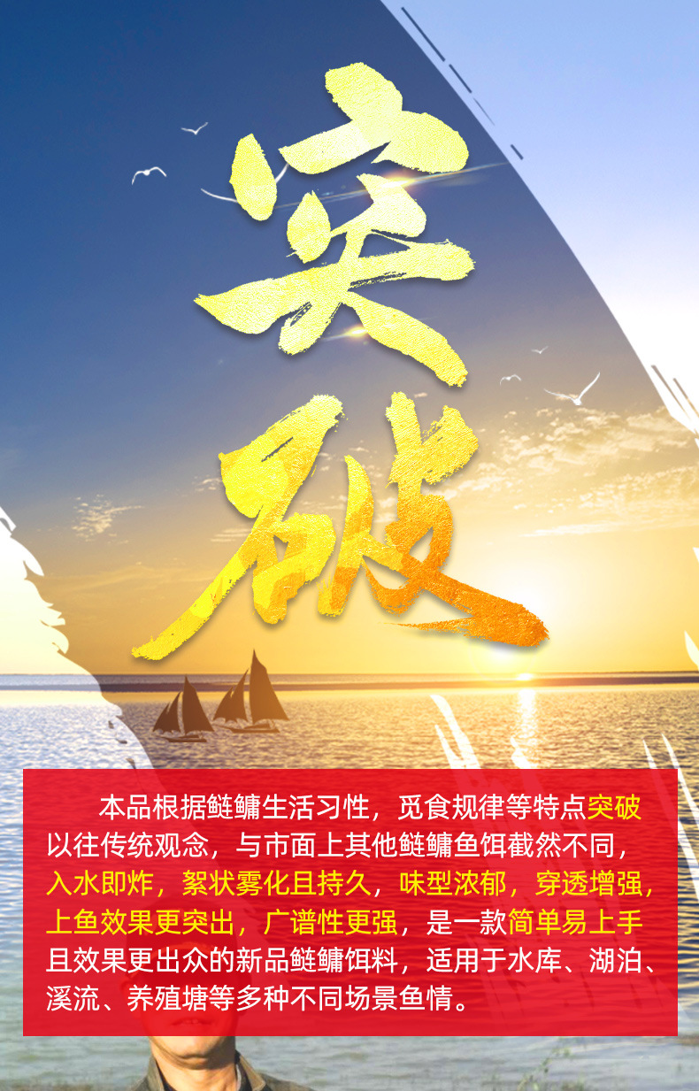 渔家傲金版详情_01