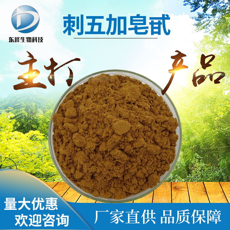 刺五加皂甙 0.8% 刺五加提取物 源头货源 刺五加皂苷 现货供应