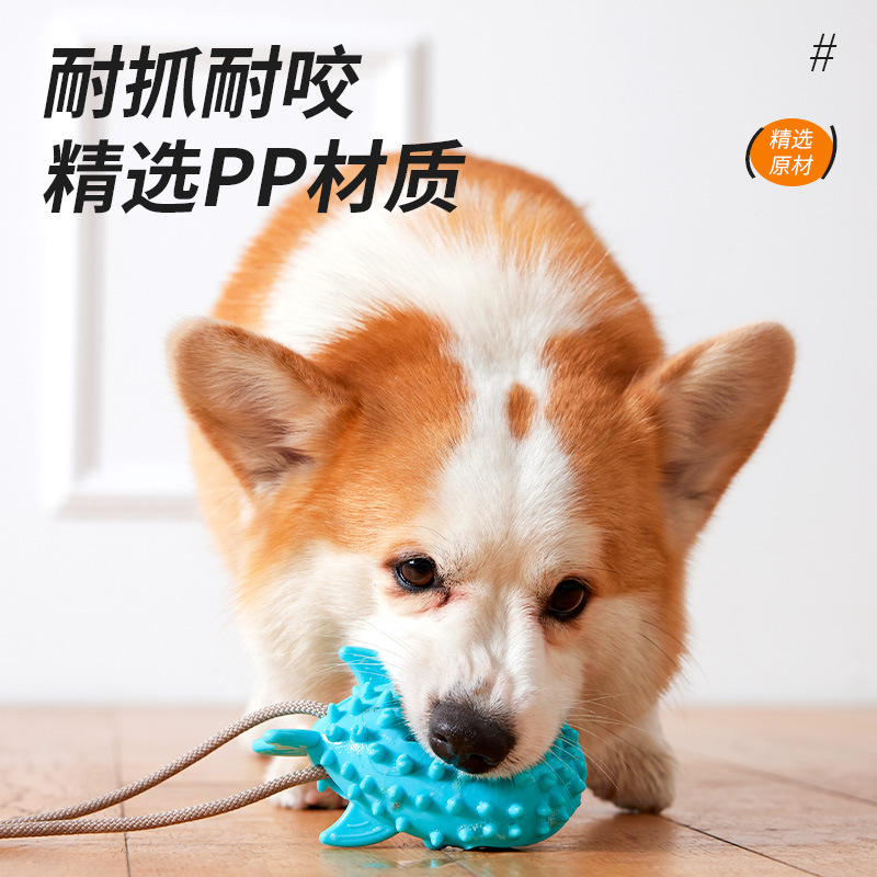 Mascota lechón juguete fuerte resistencia a la succión resistente a la fuga de alimentos bola perro aliviando tapada dibujos animados diente limpieza mordedura juguete al por mayor