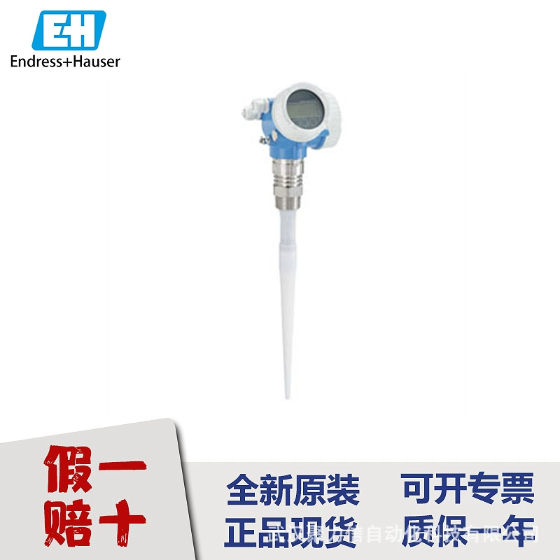 E+H Special TS111-AA11AC11112AC1X20A измеритель уровня, датчик давления, датчик перепада давления