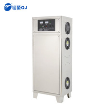 爆款泳池景观水消毒臭氧发生器 污水脱色降解COD源头厂家100g包邮