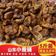 新桑蚕蛹干茧蛹干 级原味高蛋白蚕蛹纯干蚕蛹粉