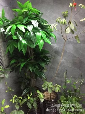 9ddd36a8-4178-4e03-80e4-def598