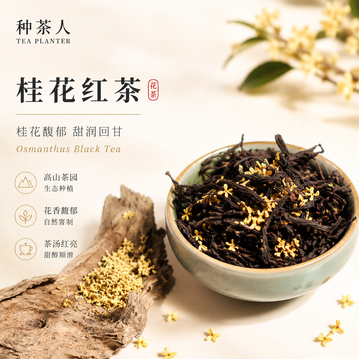 桂花红茶冷泡茶浓香型2026新茶红茶茶叶工厂批发