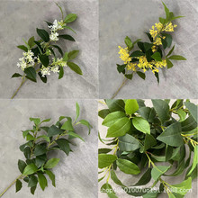 �ָ��zƬ�������֧�� ���~��ɫ�Sɫ �𻨘��b٘��~�쾰