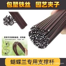 m֧֧ΗUͼӈ@ˇmݻ֦A̶ֲ