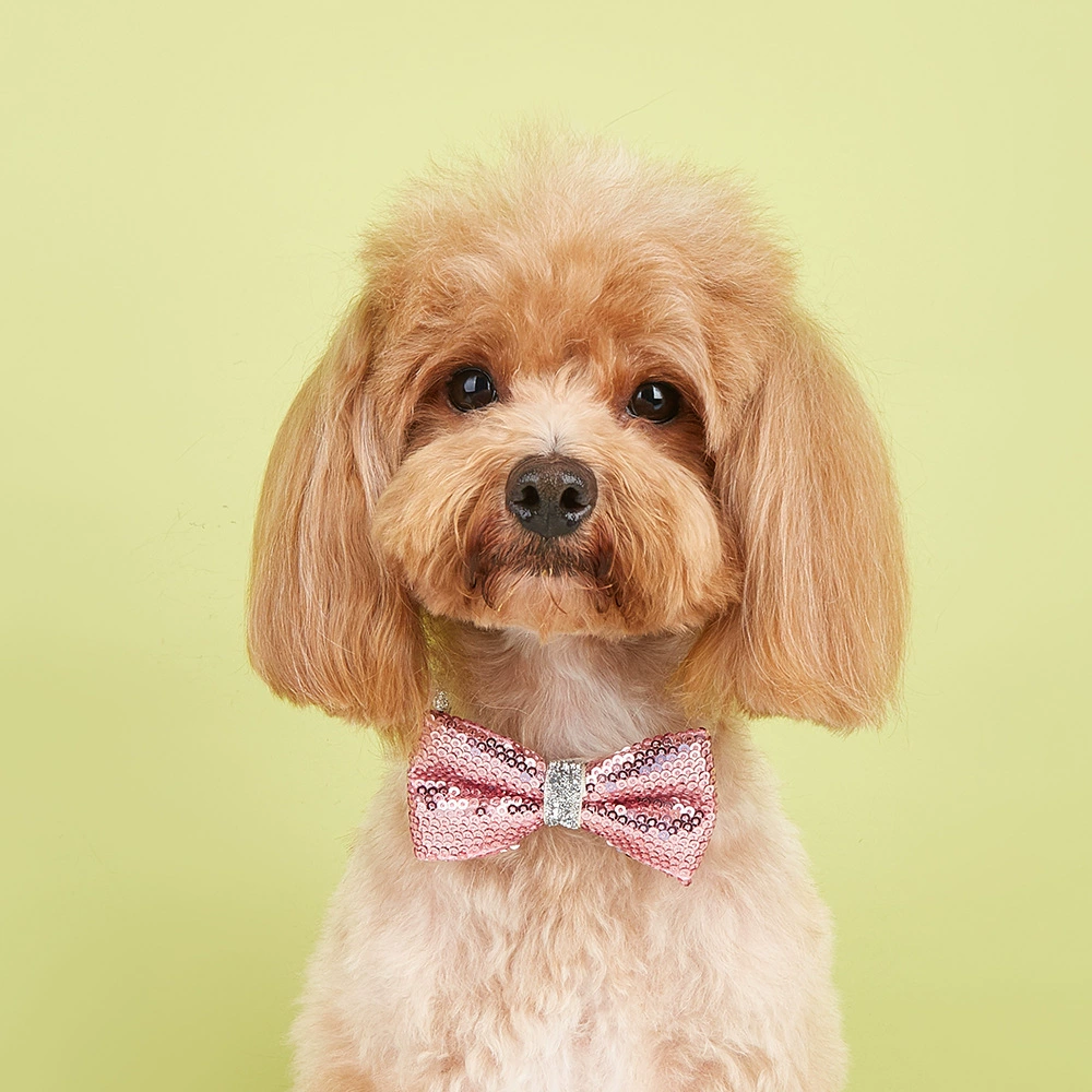 Производитель спот блестки галстуков-галстуков для домашних животных галстуков высокого класса блестки кошки и собаки банты регулируемые аксессуары для домашних животных оптом