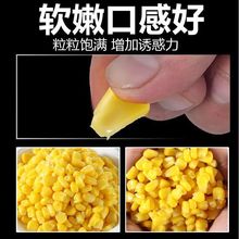 生鲜玉米甜糯嫩玉米鱼饵专用大物打窝料青鲤鳊鱼米翘嘴野钓鱼饵