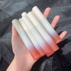 HERORANGE velvet lip glaze matte matte lipstick air lip gloss lip mud female students dropshipping