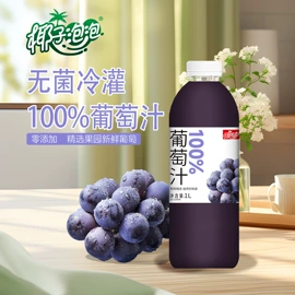 其他软饮料;果蔬汁;含乳饮料