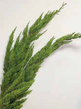 松枝松树诺贝松鲜切枝圣诞节枝条松果DIY家用满条件两扎包邮