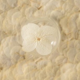 Wood Hydrangea Ben White Dried Flower Embossed Table Lamp Real Flower diy Material Package Plant Specimen Bookmark Table Lamp