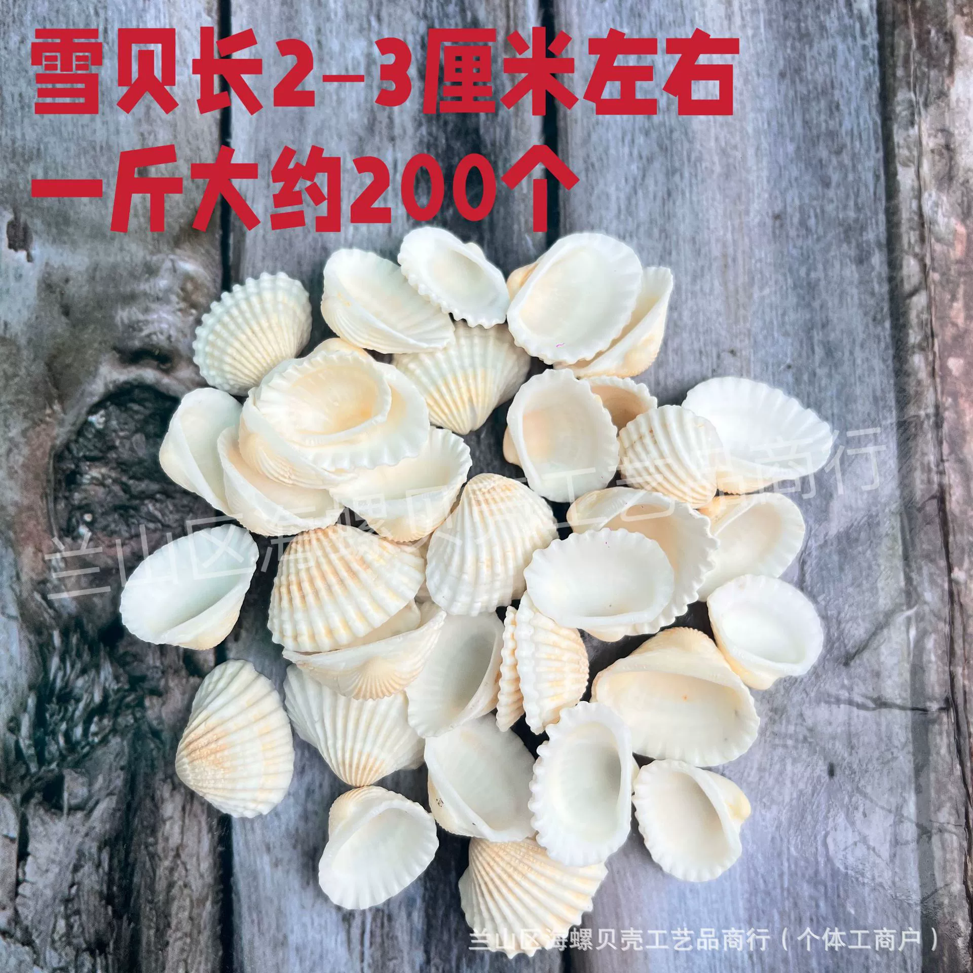 Shell Natural Shell Conch Stars Drifting Bottle Shell Crafts Wholesale Diy Handmade Shell Materials