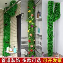 �҃��b�Gֲ��Ƥ��ˮ�ܼٻ��������쾰����������Ƥ���ړ�