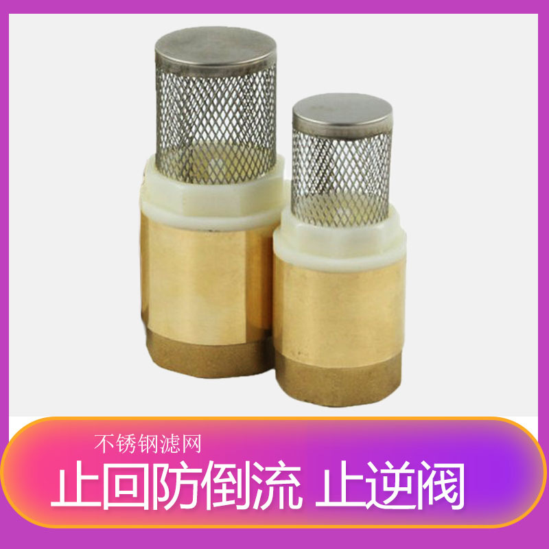 With mesh bottom valve 4 minutes 6 minutes 1 anti-backflow brass valve straight-through filter copper core vertical check valve check valve