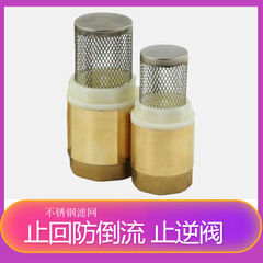 With mesh bottom valve 4 minutes 6 minutes 1 anti-backflow brass valve straight-through filter copper core vertical check valve check valve