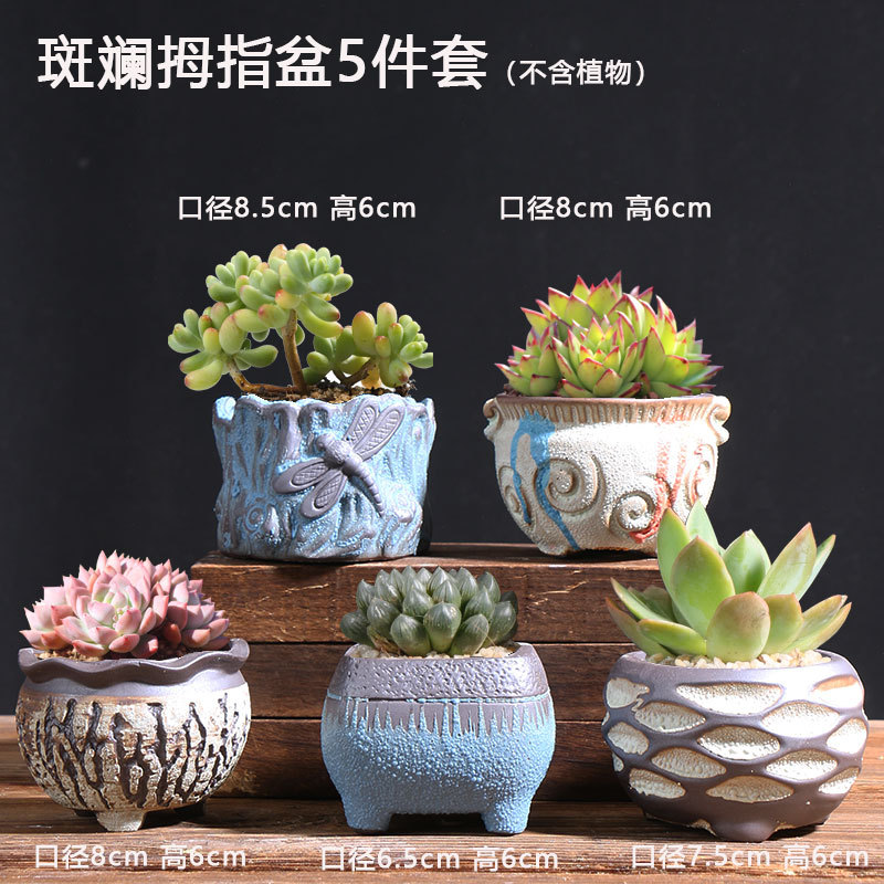 斑斓拇指盆5件套092