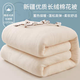 新疆长绒棉被商超棉花被子棉被芯棉絮床垫被褥子学生宿舍专用冬季